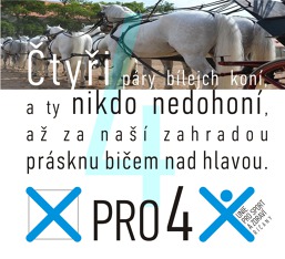 Naše volební plakáty