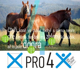 Naše volební plakáty