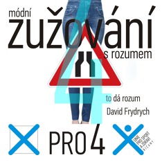 Naše volební plakáty
